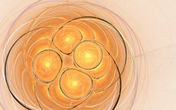 2014 08 28 Still Standing Plastic 004-white.jpg